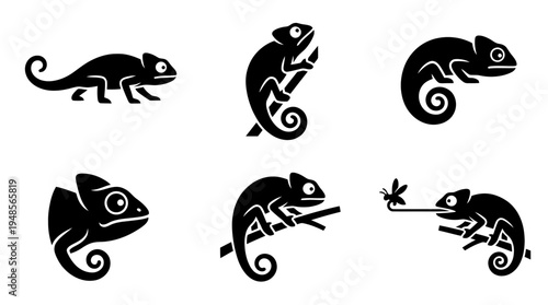 collection of chameleon, 6 filled black minimal icon vector set , white background , PNG and SVG isolate