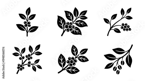 collection of coffee bean branch, 6 filled black minimal icon vector set , white background , PNG and SVG isolate