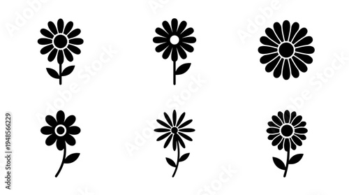 collection of daisy, 6 filled black minimal icon vector set , white background , PNG and SVG isolate