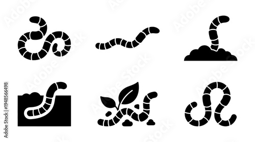 collection of earthworm, 6 filled black minimal icon vector set , white background , PNG and SVG isolate