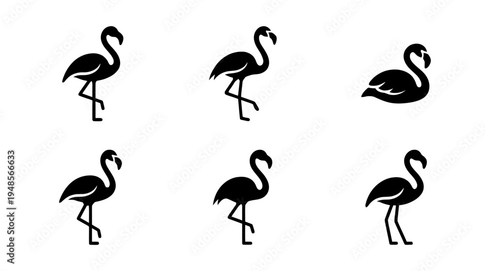 Fototapeta premium collection of flamingo, 6 filled black minimal icon vector set , white background , PNG and SVG isolate