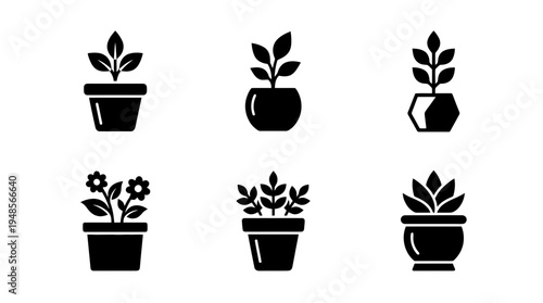 collection of flower pot, 6 filled black minimal icon vector set , white background , PNG and SVG isolate