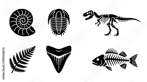 collection of fossil, 6 filled black minimal icon vector set , white background , PNG and SVG isolate