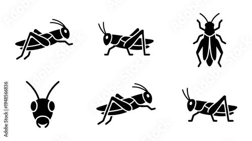 collection of grasshopper, 6 filled black minimal icon vector set , white background , PNG and SVG isolate