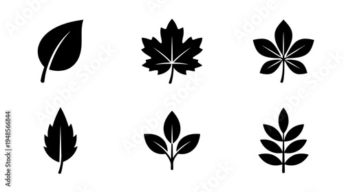 collection of green leaf, 6 filled black minimal icon vector set , white background , PNG and SVG isolate