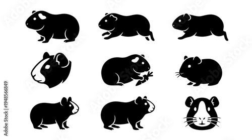 collection of guinea pig, 6 filled black minimal icon vector set , white background , PNG and SVG isolate