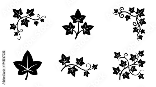 collection of ivy vine, 6 filled black minimal icon vector set , white background , PNG and SVG isolate