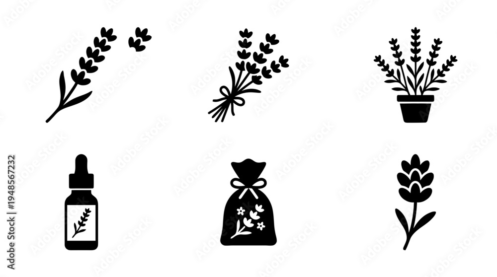 Fototapeta premium collection of lavender, 6 filled black minimal icon vector set , white background , PNG and SVG isolate