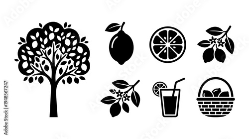 collection of lemon tree, 6 filled black minimal icon vector set , white background , PNG and SVG isolate