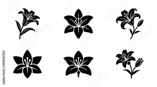 collection of lily, 6 filled black minimal icon vector set , white background , PNG and SVG isolate
