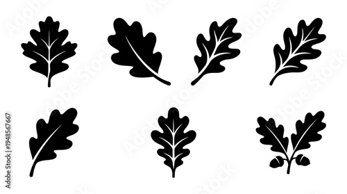 collection of oak leaf, 6 filled black minimal icon vector set , white background , PNG and SVG isolate