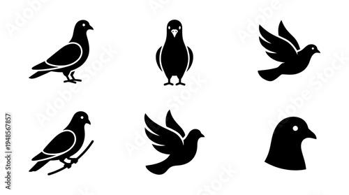 collection of pigeon, 6 filled black minimal icon vector set , white background , PNG and SVG isolate