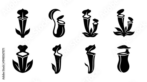 collection of pitcher plant, 6 filled black minimal icon vector set , white background , PNG and SVG isolate