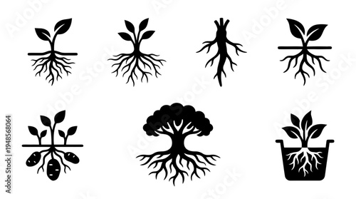 collection of root system, 6 filled black minimal icon vector set , white background , PNG and SVG isolate
