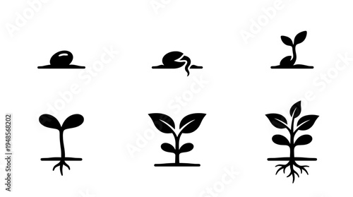 collection of seed sprout, 6 filled black minimal icon vector set , white background , PNG and SVG isolate