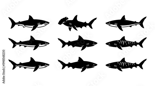collection of shark, 6 filled black minimal icon vector set , white background , PNG and SVG isolate