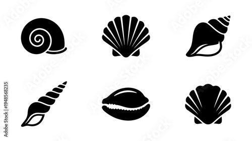 collection of shell, 6 filled black minimal icon vector set , white background , PNG and SVG isolate