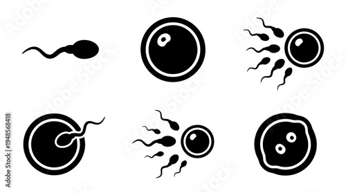 collection of sperm and egg, 6 filled black minimal icon vector set , white background , PNG and SVG isolate
