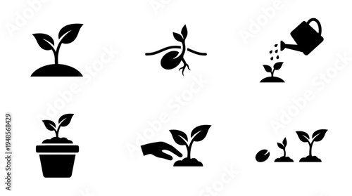 collection of sprout, 6 filled black minimal icon vector set , white background , PNG and SVG isolate