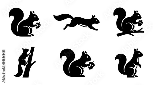 collection of squirrel, 6 filled black minimal icon vector set , white background , PNG and SVG isolate