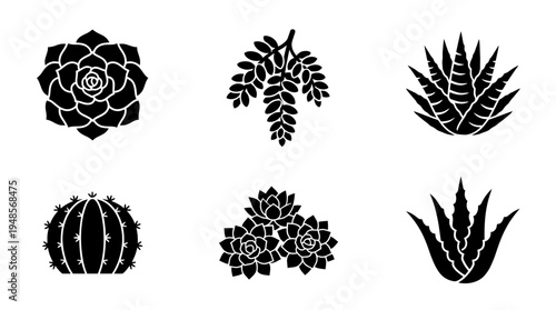 collection of succulent, 6 filled black minimal icon vector set , white background , PNG and SVG isolate