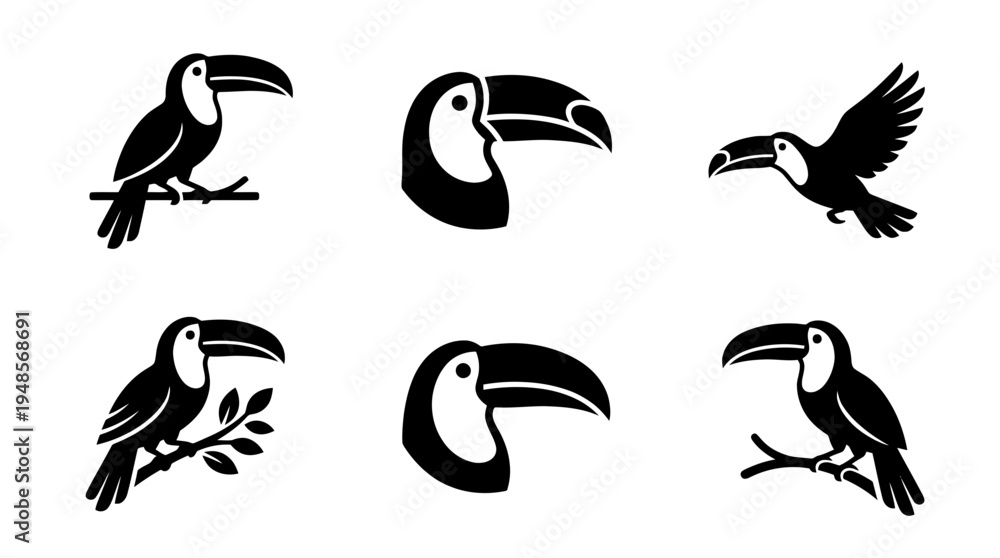 Fototapeta premium collection of toucan, 6 filled black minimal icon vector set , white background , PNG and SVG isolate