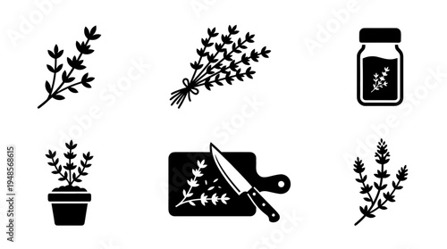 collection of thyme, 6 filled black minimal icon vector set , white background , PNG and SVG isolate