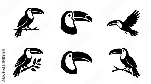 collection of toucan, 6 filled black minimal icon vector set , white background , PNG and SVG isolate