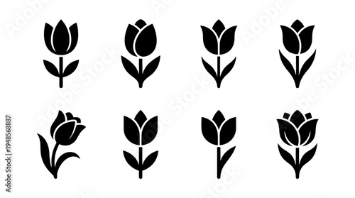 collection of tulip, 6 filled black minimal icon vector set , white background , PNG and SVG isolate