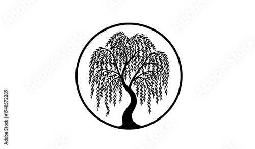 Elegant willow tree silhouette in circle vector minimalist nature emblem design