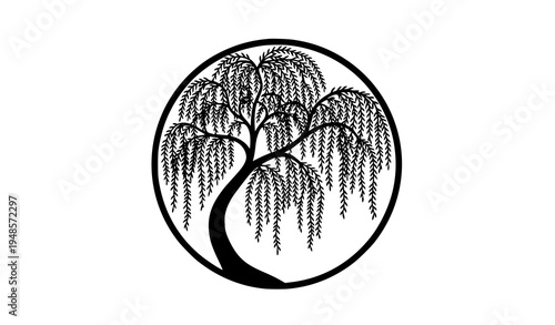 Minimal willow tree silhouette inside circular frame vector nature logo design