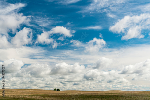 Canada, Saskatchewan, North Battleford.  Big sky over a recently harvested wheat field.