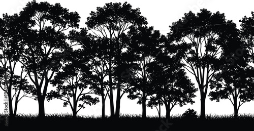 Panoramic black silhouette of deep forest trees and grass isolated on white background, vector illustration for footer or landscape design.