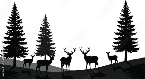 Pine forest landscape silhouette with wild deer herd, various coniferous trees and buck shapes, botanical vector illustration for nature design,