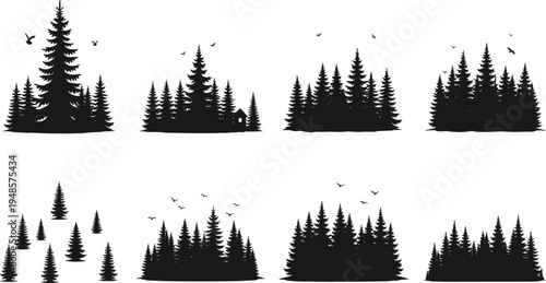 Pine, forest, silhouette, collection, of, coniferous, trees, spruce, and, fir, woodcut, style, nature, landscape, outdoors, mountains, black, white, vector, illustration,