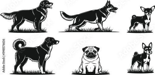 Set of black and white dog silhouettes in various poses, hand drawn woodcut style canine breed icons isolated on white,