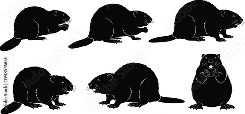 Set of Beaver Silhouette Icons, North American Wildlife Vector Illustrations, Cute Rodent Animal Shapes for Nature Branding and Forestry Graphic Designs