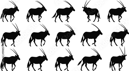 Set of black antelope silhouettes featuring various walking and standing poses with long curved horns isolated on white background vector.