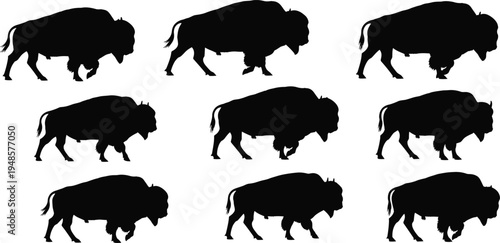 Set of black buffalo silhouettes featuring various walking and charging poses isolated on white background for american wildlife vector illustration.