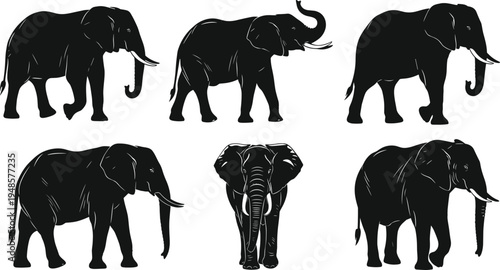 Set of black elephant silhouettes in various walking and standing poses, hand drawn african savanna animal icons isolated on white