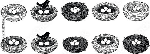 Vector silhouette of various oval shapes with patterns