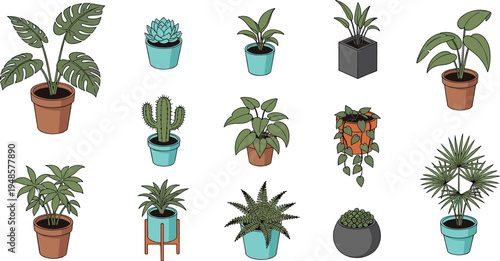 Collection of indoor potted plants vector illustration set including monstera, cactus, fern and decorative houseplants isolated on light background for home decor design
