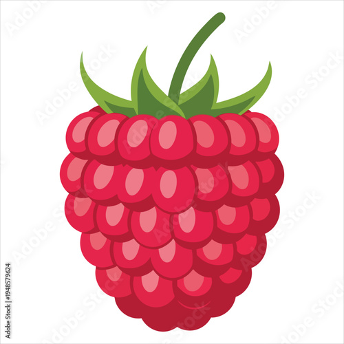 Art illustration of refreshing raspberry fruit