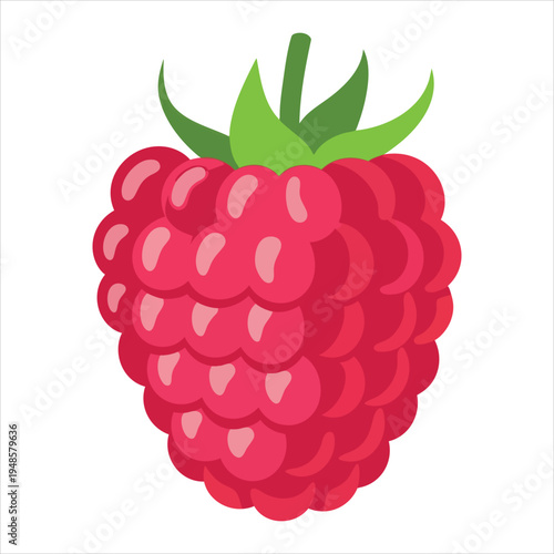 Art illustration of refreshing raspberry fruit