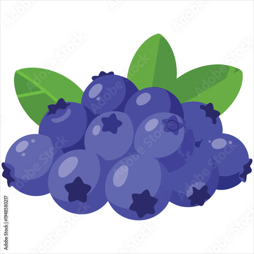 Art illustration of refreshing blueberry fruit