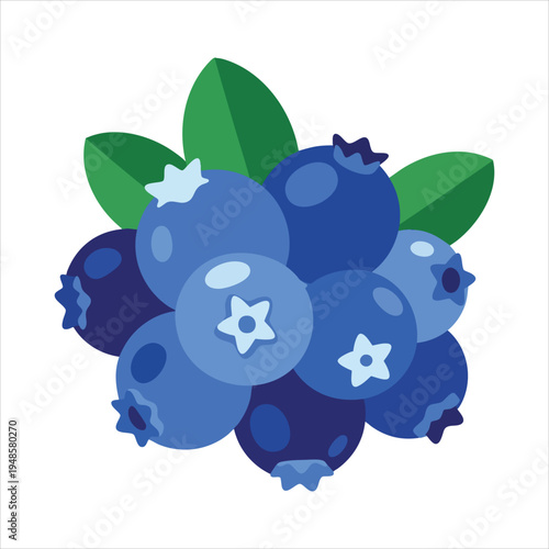 Art illustration of refreshing blueberry fruit