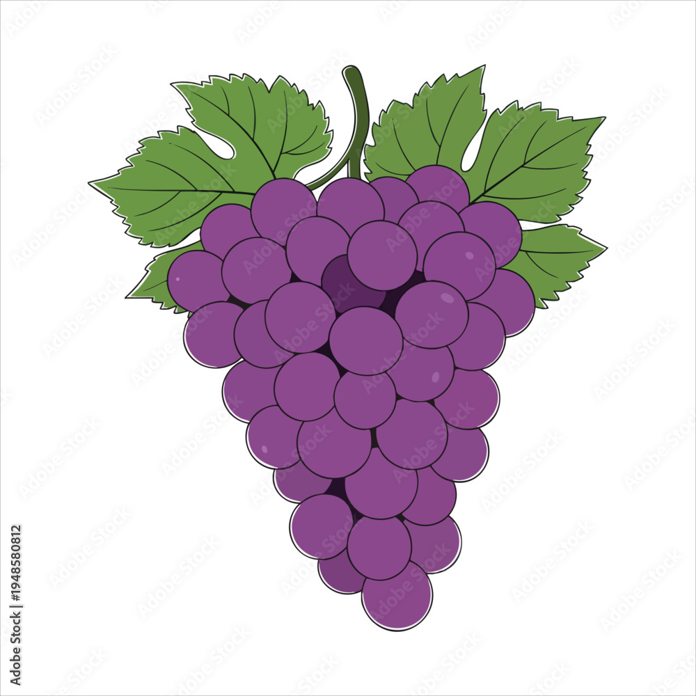 Fototapeta premium Art illustration of a refreshing grape fruit