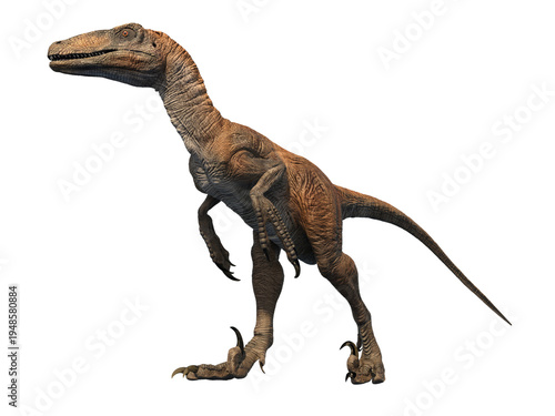 Deinonychus velociraptor dinosaur 3d render
