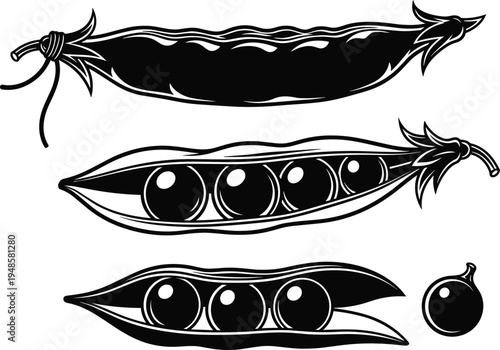 Symmetrical raven birds silhouette with spread wings facing each other, black gothic crow vector illustration isolated on light background, dramatic wildlife emblem design concept