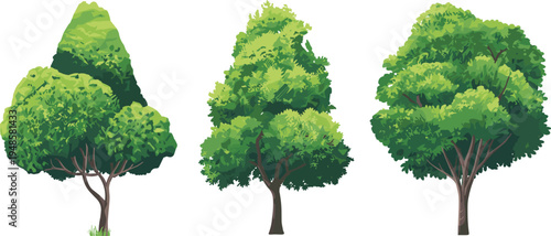 Vector illustration set of three lush green deciduous trees with dense foliage and realistic textures for landscape architecture garden planning and nature designs